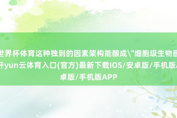 世界杯体育这种独到的因素架构能酿成
