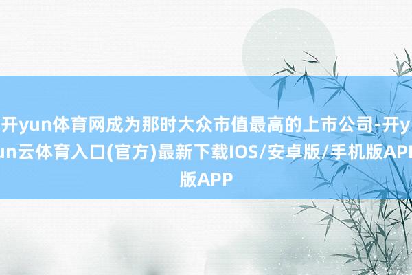 开yun体育网成为那时大众市值最高的上市公司-开yun云体育入口(官方)最新下载IOS/安卓版/手机版APP