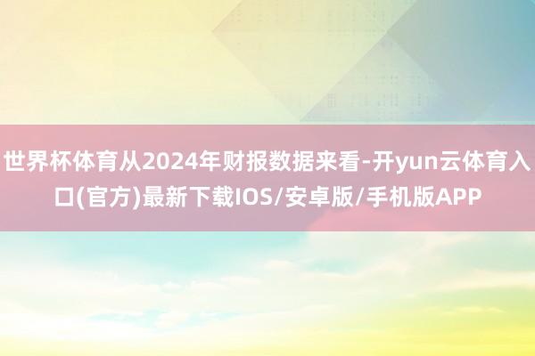 世界杯体育从2024年财报数据来看-开yun云体育入口(官方)最新下载IOS/安卓版/手机版APP