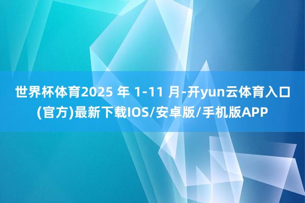 世界杯体育2025 年 1-11 月-开yun云体育入口(官方)最新下载IOS/安卓版/手机版APP