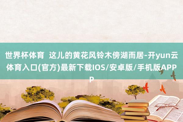 世界杯体育  这儿的黄花风铃木傍湖而居-开yun云体育入口(官方)最新下载IOS/安卓版/手机版APP